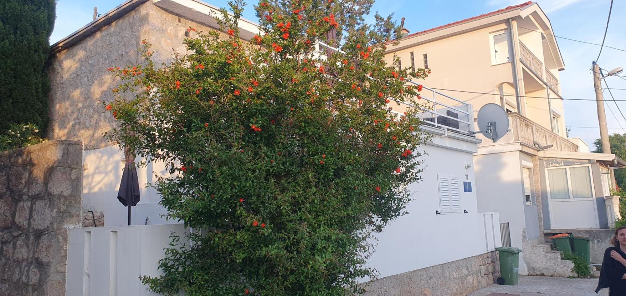 Apartmani Sara Marija Karlobag Exterior photo